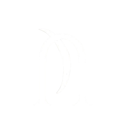 Adepti